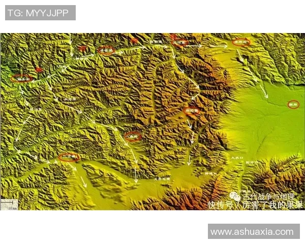 广州网球队防守体系深度解析与战术应用探讨