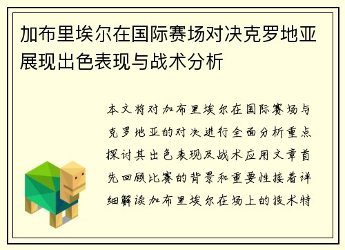 加布里埃尔在国际赛场对决克罗地亚展现出色表现与战术分析