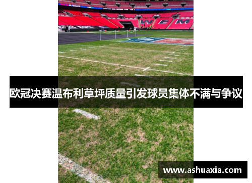 欧冠决赛温布利草坪质量引发球员集体不满与争议